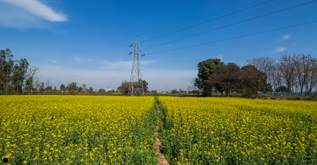 Title Search for NRI Property India – Legal Due Diligence and Verification Process